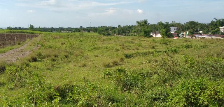 Clean Title ( Residencial classification ) - photo 5