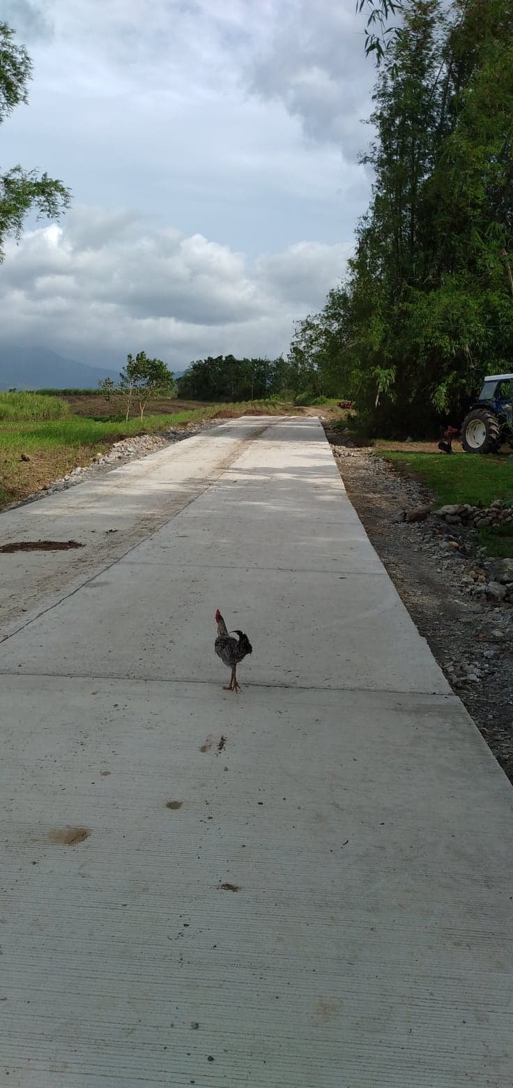 Clean Title ( Residencial classification ) - photo 2