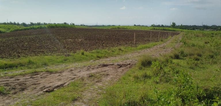 Clean Title ( Residencial classification ) - photo 4