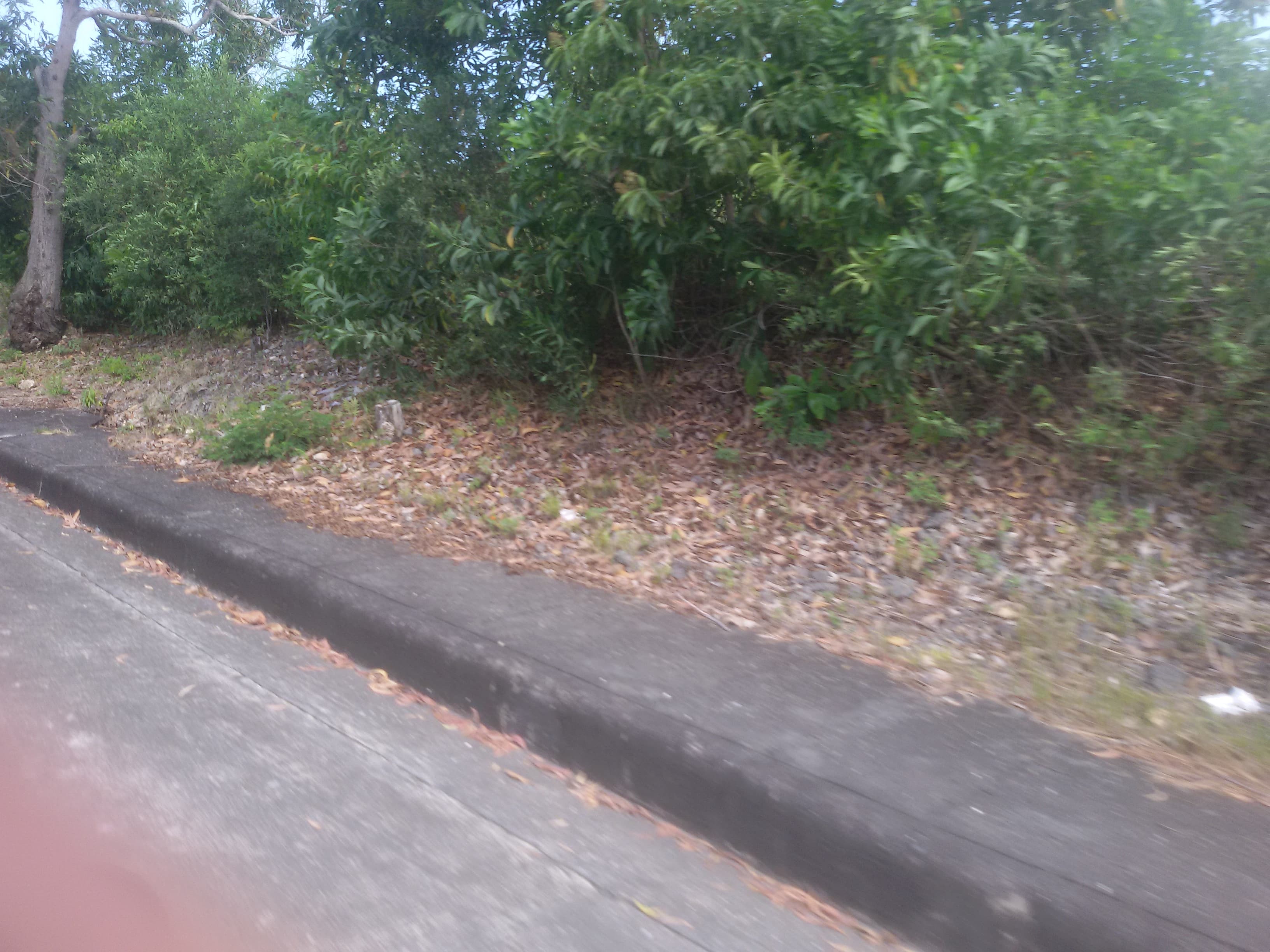 AltaVista private lot - photo 2