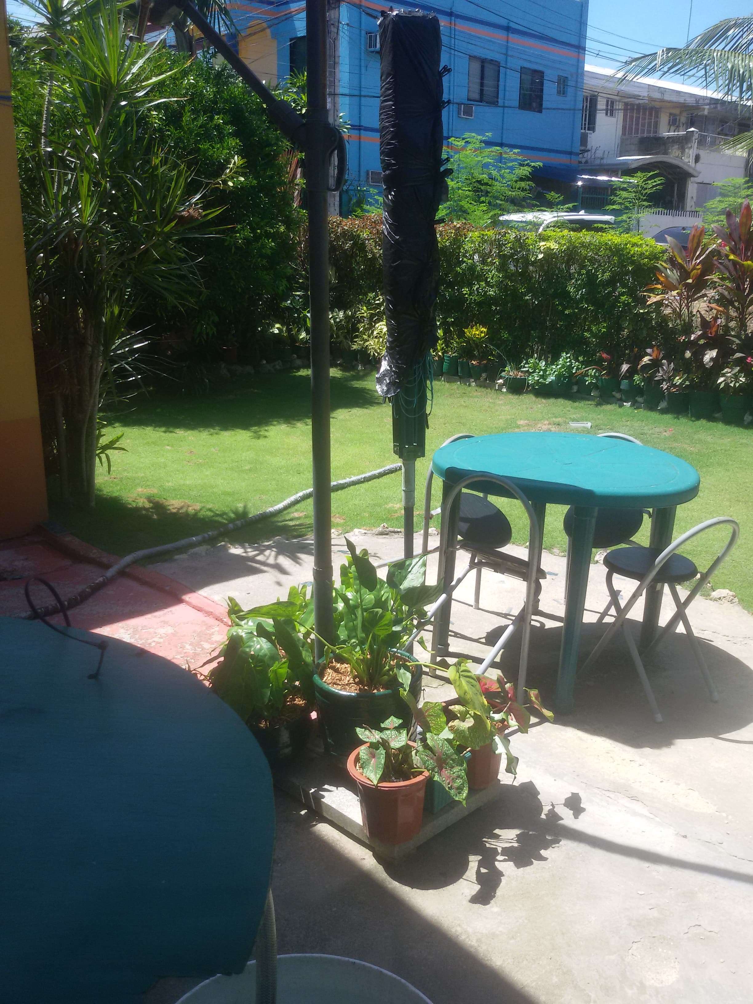 Davidproperty - photo 5