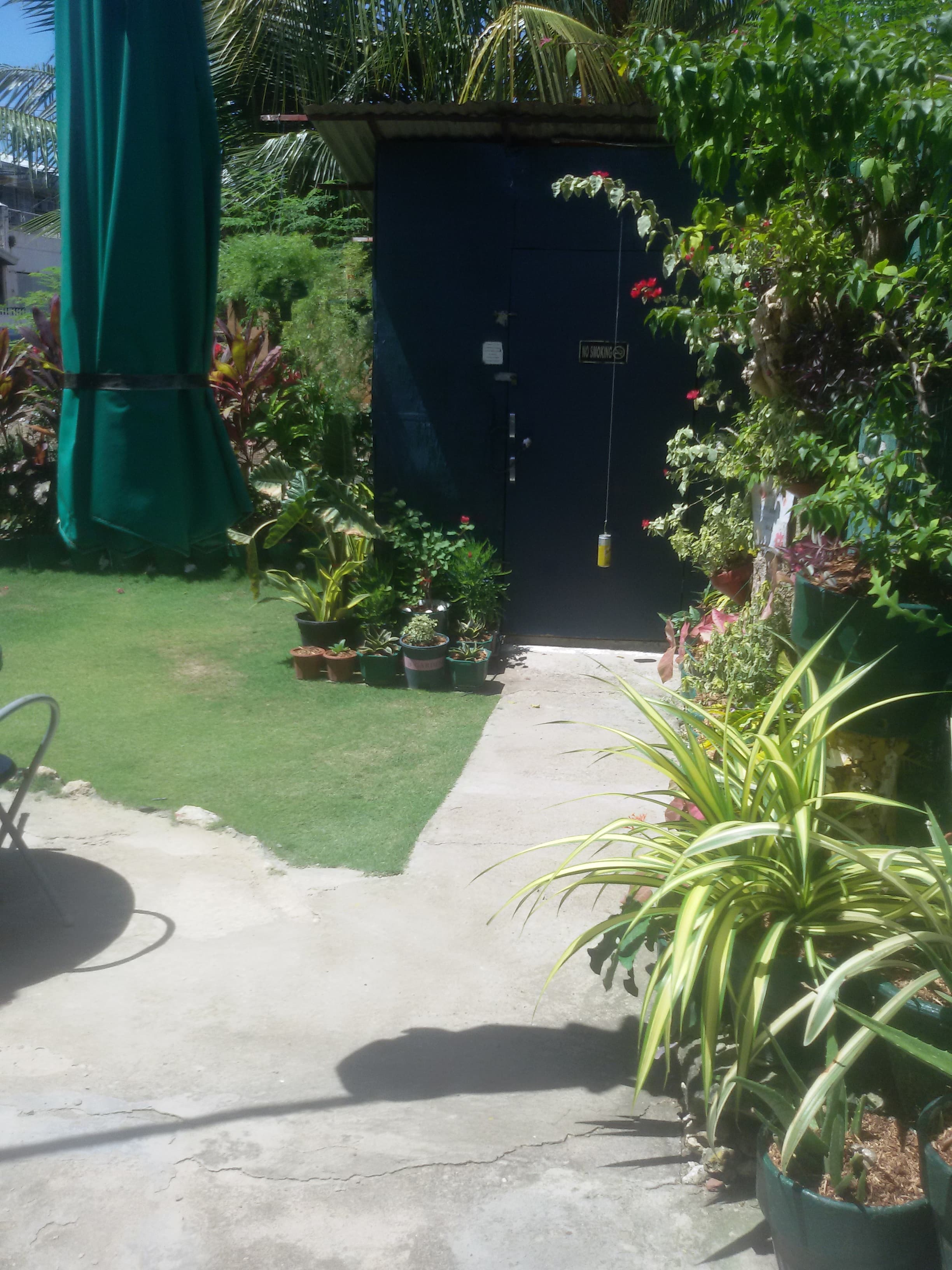 Davidproperty - photo 6