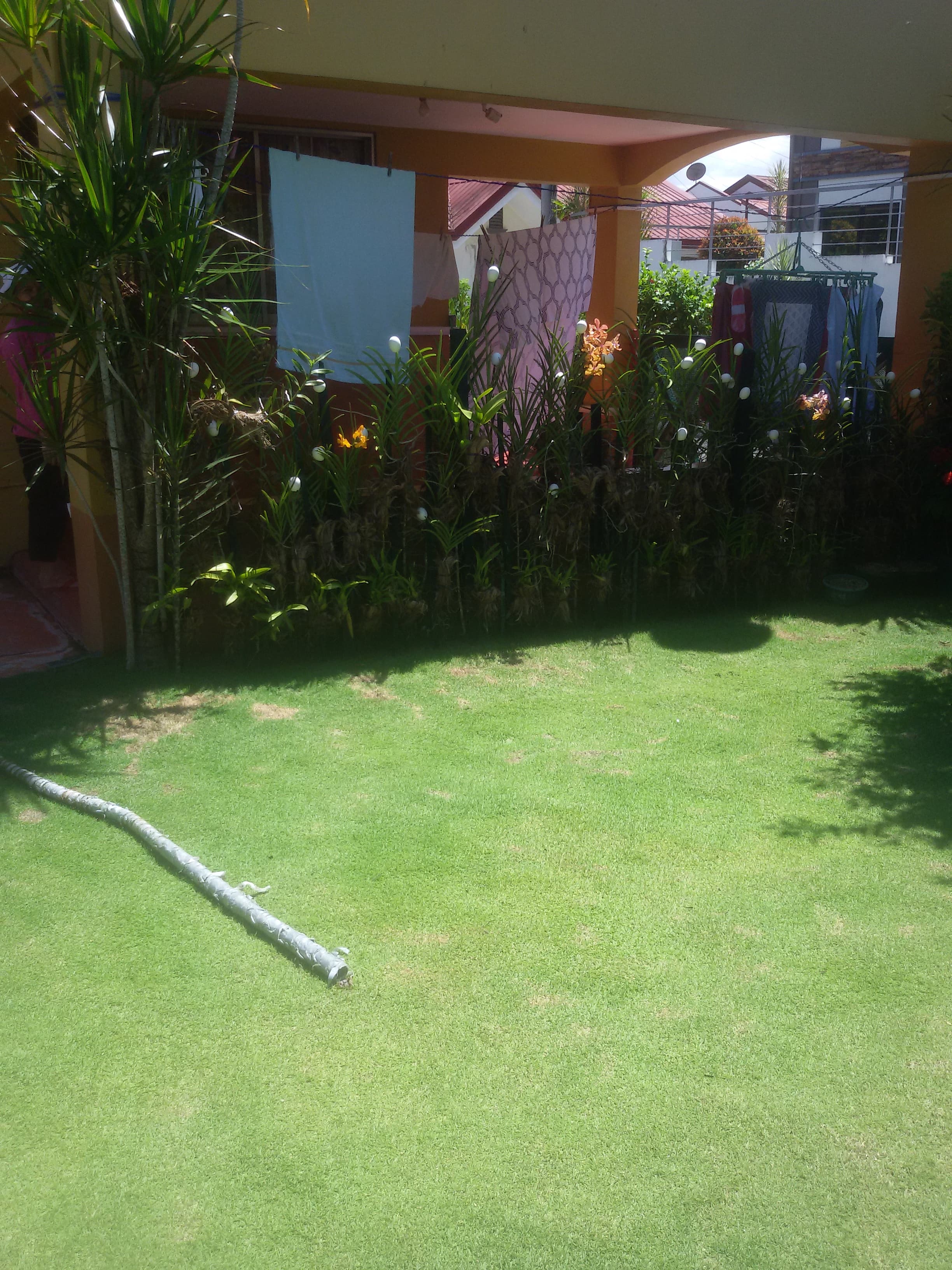 Davidproperty - photo 2