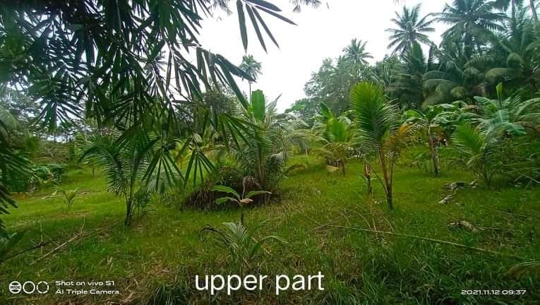 Agricultural Lot for Sale at pho500 per sq.m