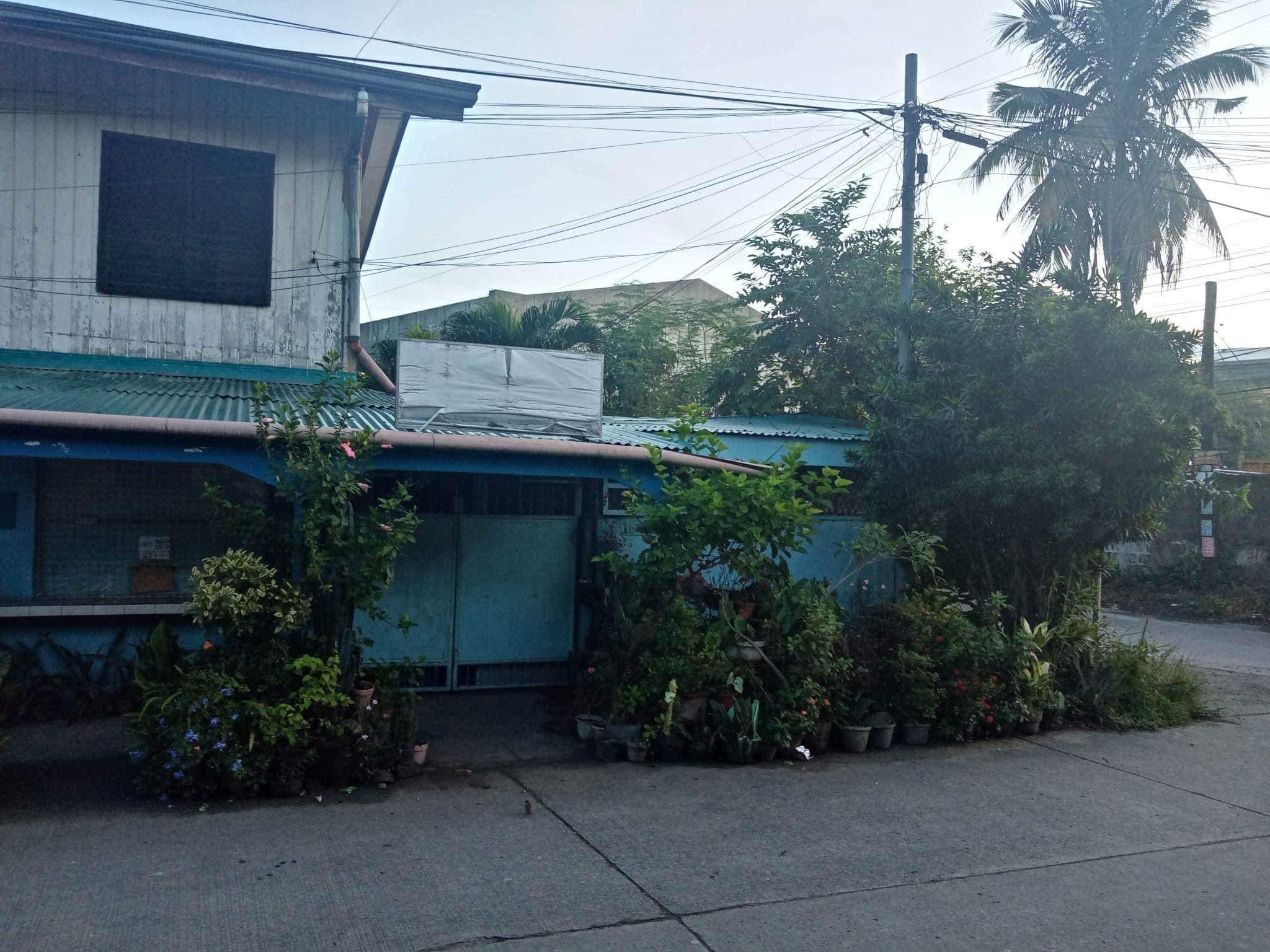 vlz carmen - photo 3