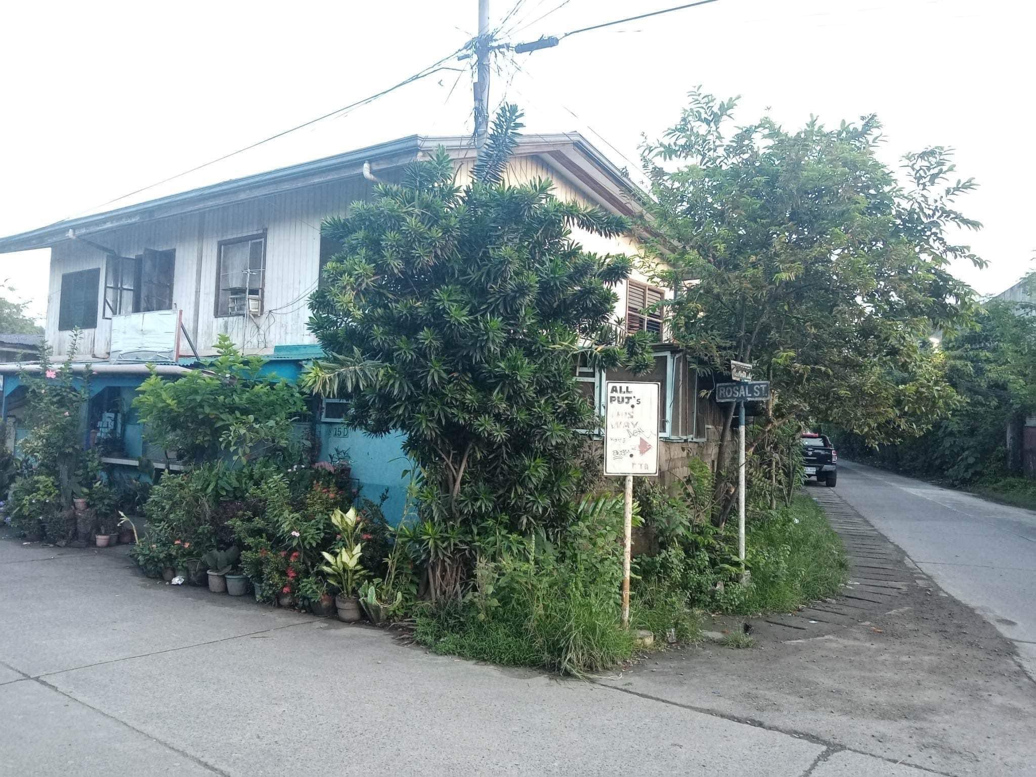 vlz carmen - photo 1