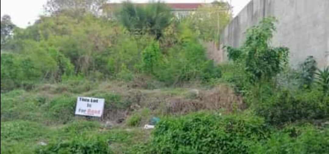 Mandaue Lot Property