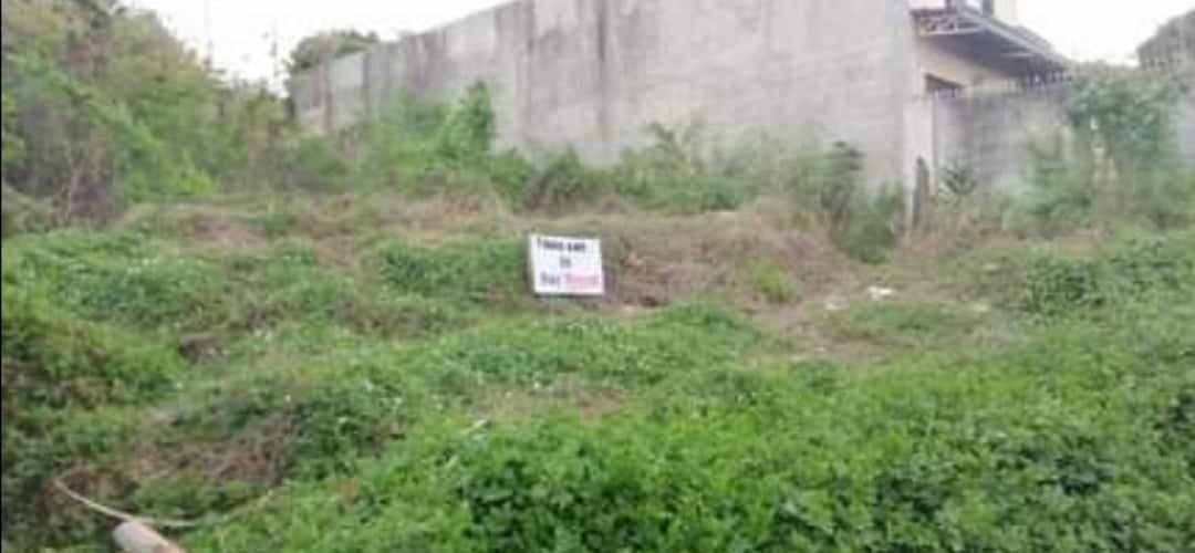 Mandaue Lot Property - photo 2