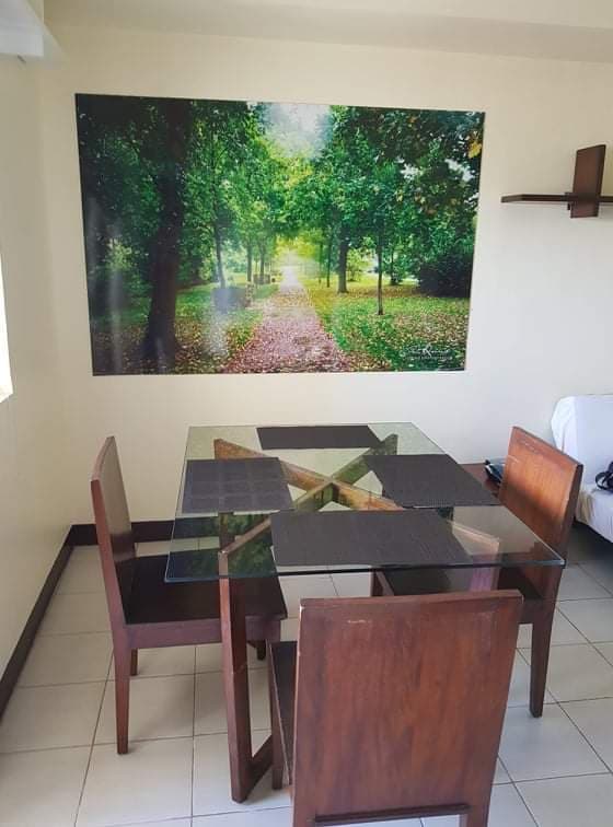 Fully Furnished 1 BR in Persimmon Condominium - photo 4