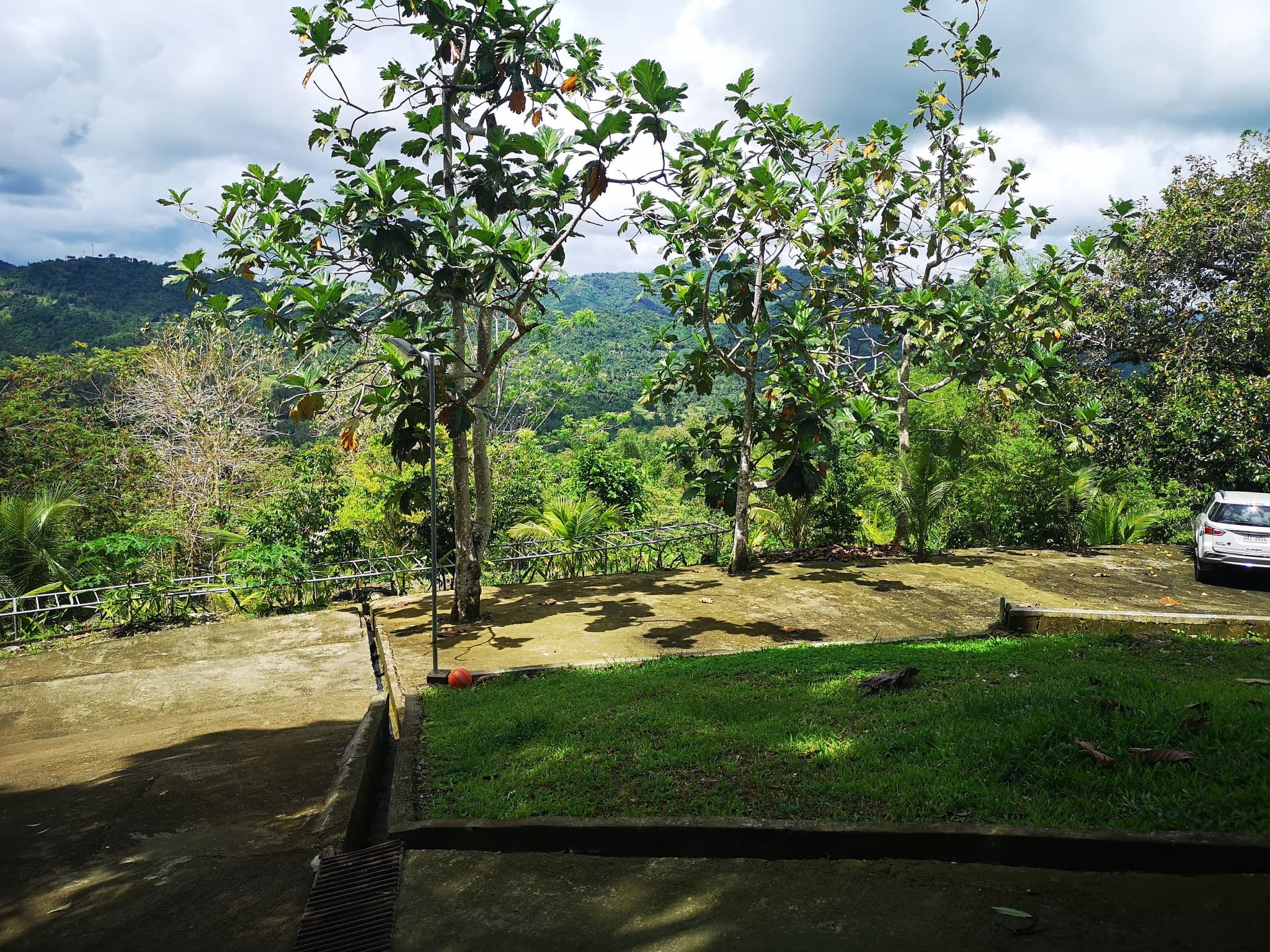 Paril Farm for SALE Cebu City - Titled Property - photo 7