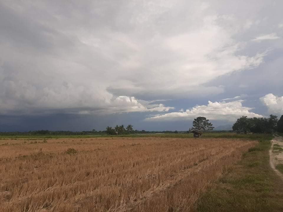 FOR SALE LOT IN DUMADALIG, TANTANGAN, SOUTH COTABATO - photo 2