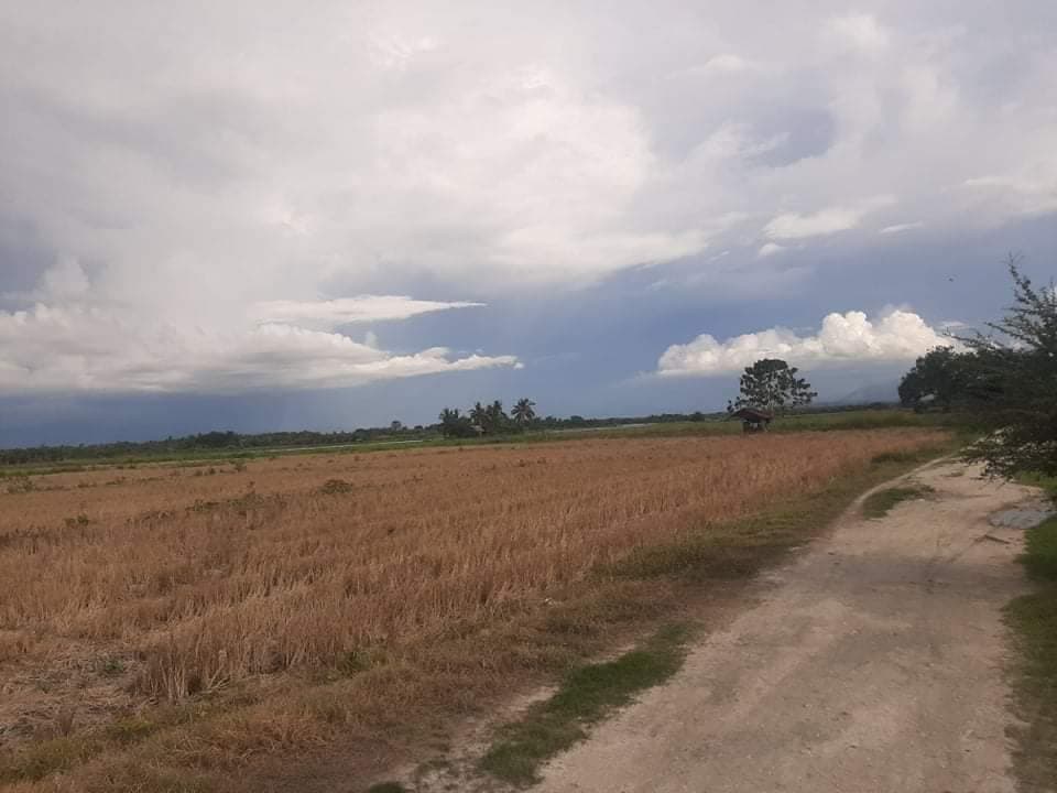 FOR SALE LOT IN DUMADALIG, TANTANGAN, SOUTH COTABATO