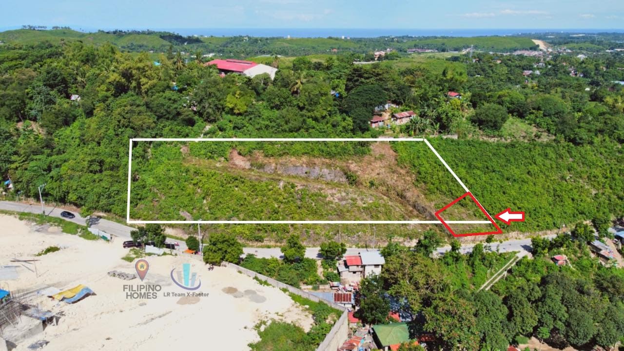 FOR SALE COMMERCIAL/RESIDENTIAL TITLED LOT ALONG PROVINCIAL ROAD, LILOAN, CEBU