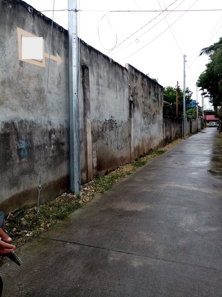 RUSH SALE RESIDENTIAL LOT IN BOOY, TAGBILARAN CITY, BOHOL