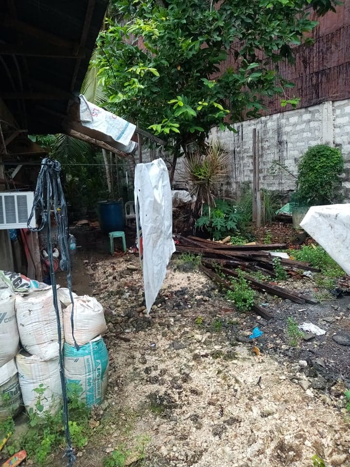 RUSH SALE RESIDENTIAL LOT IN BOOY, TAGBILARAN CITY, BOHOL - photo 4