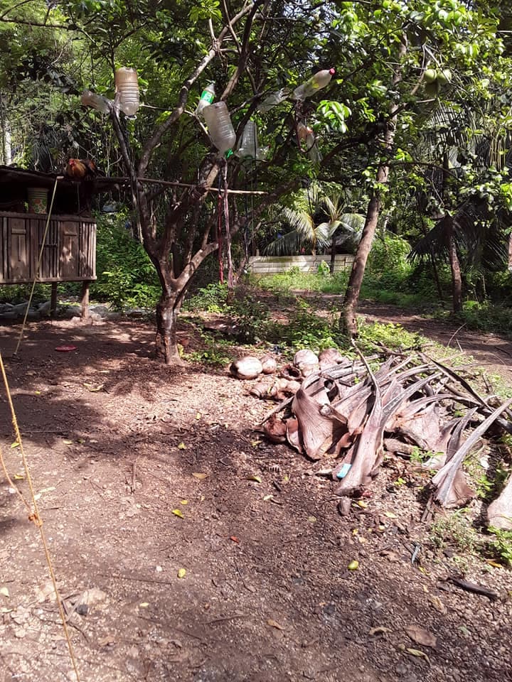 Residential Lot for Sale Compostela, Cebu - photo 4