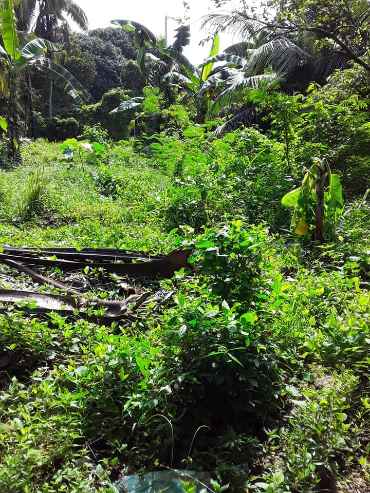 Residential Lot for Sale Compostela, Cebu - photo 5