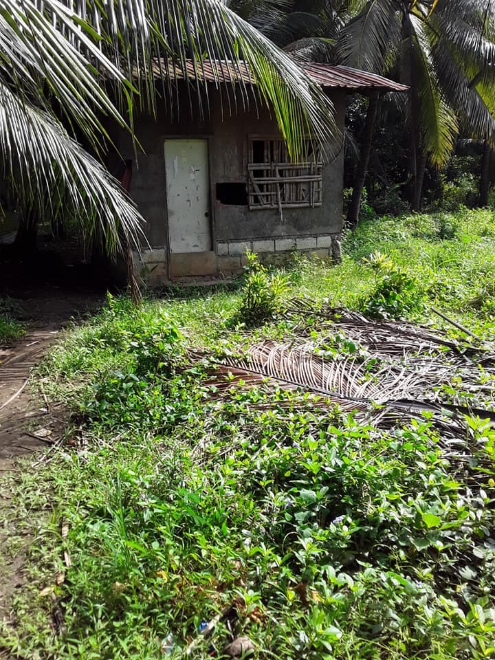 Residential Lot for Sale Compostela, Cebu - photo 2