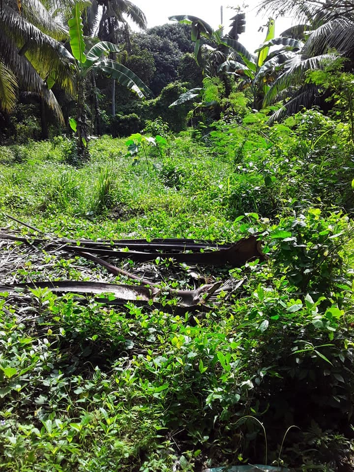 Residential Lot for Sale Compostela, Cebu - photo 3