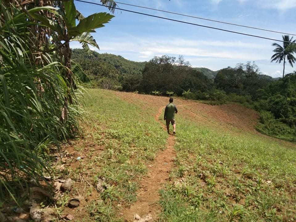 FOR SALE : 24, 728 SQM FARM LOT IN PINAMUNGAJAN - photo 6