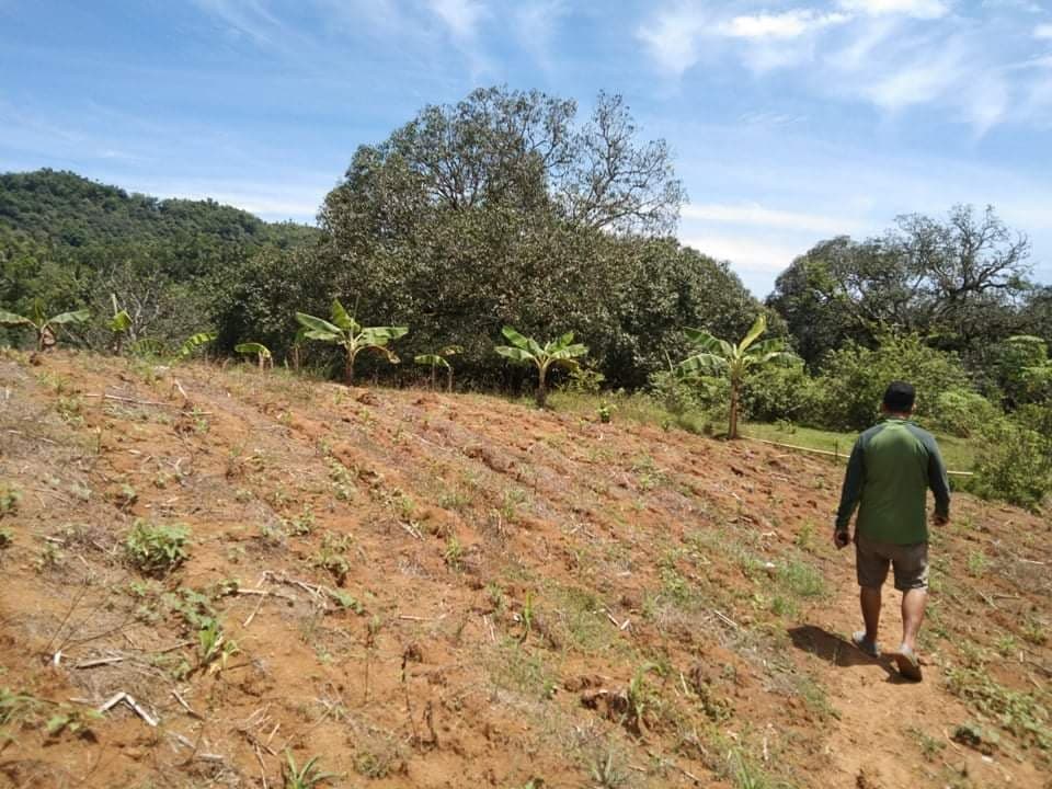 FOR SALE : 24, 728 SQM FARM LOT IN PINAMUNGAJAN