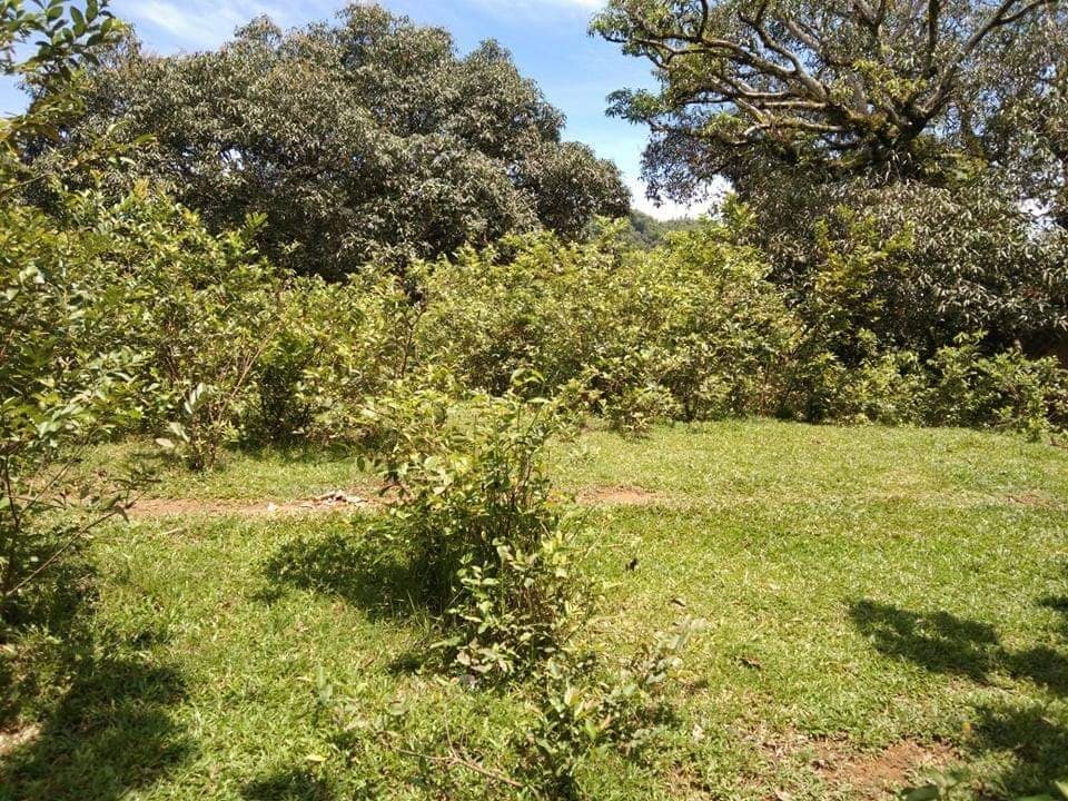 FOR SALE : 24, 728 SQM FARM LOT IN PINAMUNGAJAN - photo 5