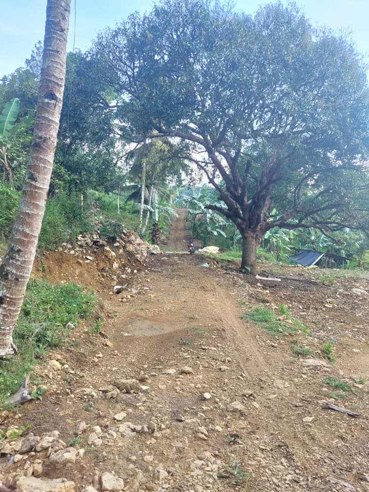 4000 sqm LOT IN BABAG 2, CEBU CITY - photo 2