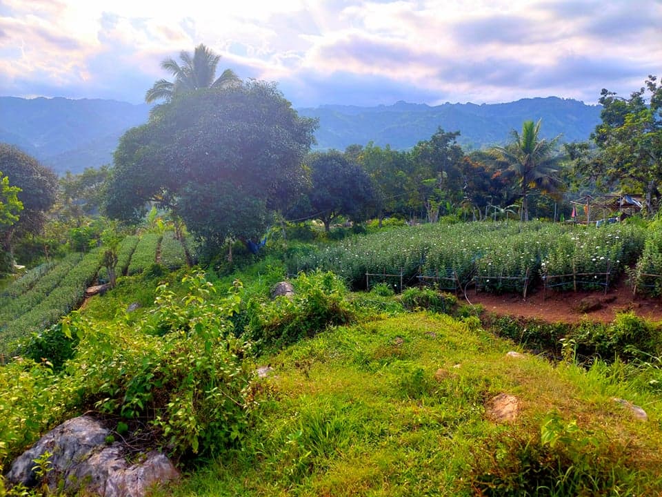 4000 sqm LOT IN BABAG 2, CEBU CITY - photo 6