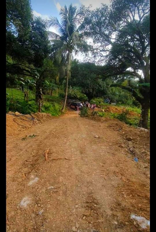 4000 sqm LOT IN BABAG 2, CEBU CITY - photo 4