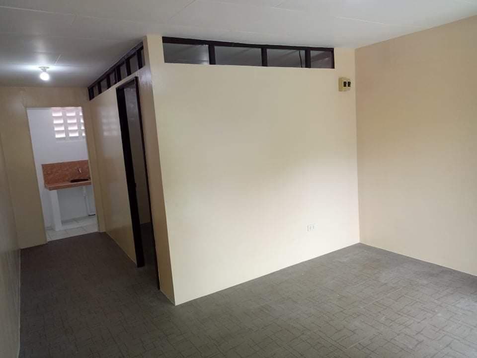 300 SQM (APARTMENT) LOT AREA IN CABANCALAN MANDAUE CITY - photo 4