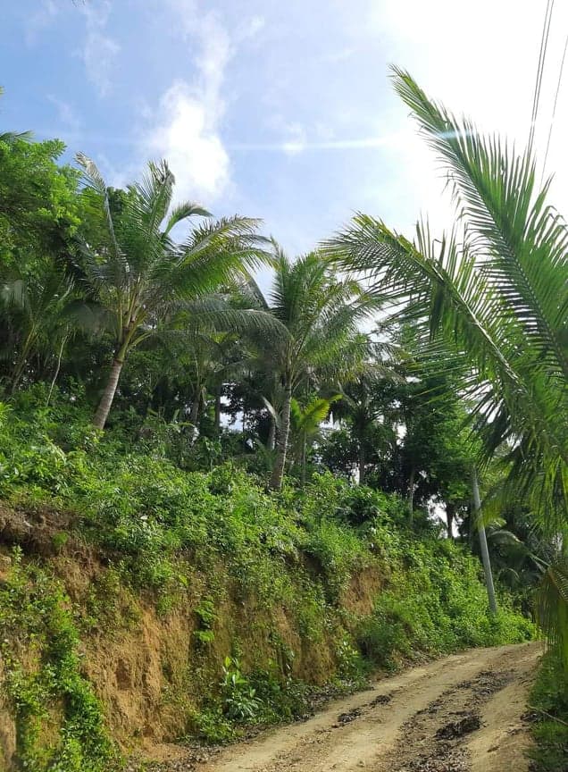 9000 SQM IN SAN FERNANDO CEBU