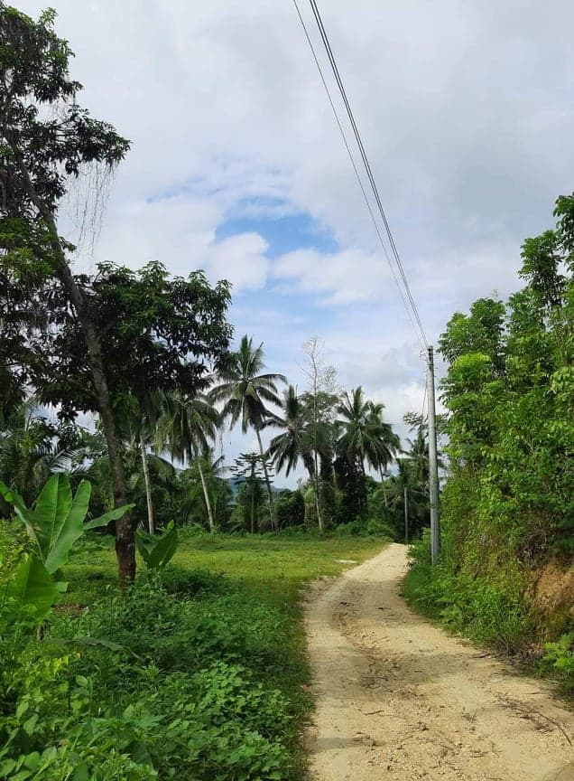 9000 SQM IN SAN FERNANDO CEBU - photo 3