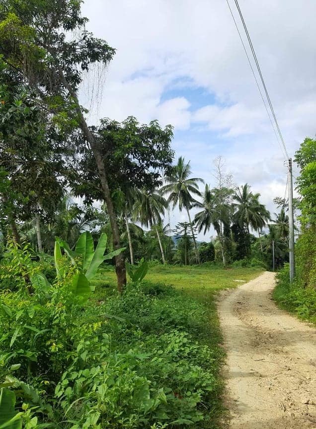 9000 SQM IN SAN FERNANDO CEBU - photo 4