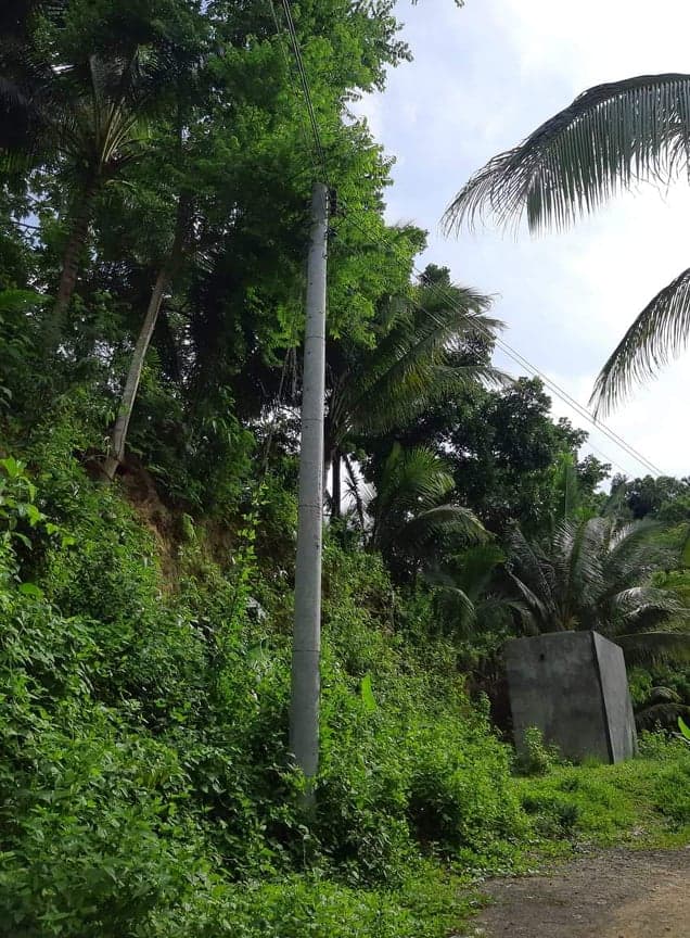 9000 SQM IN SAN FERNANDO CEBU - photo 5