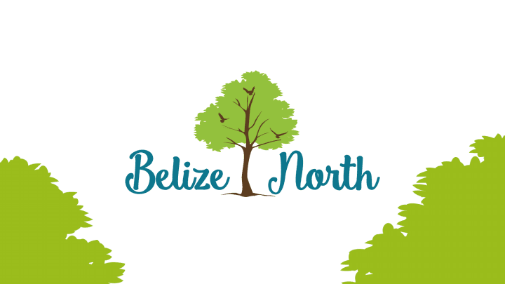 SiNGLE ATTACHED HOUSE AND LOT IN CONSOLACION - photo 4