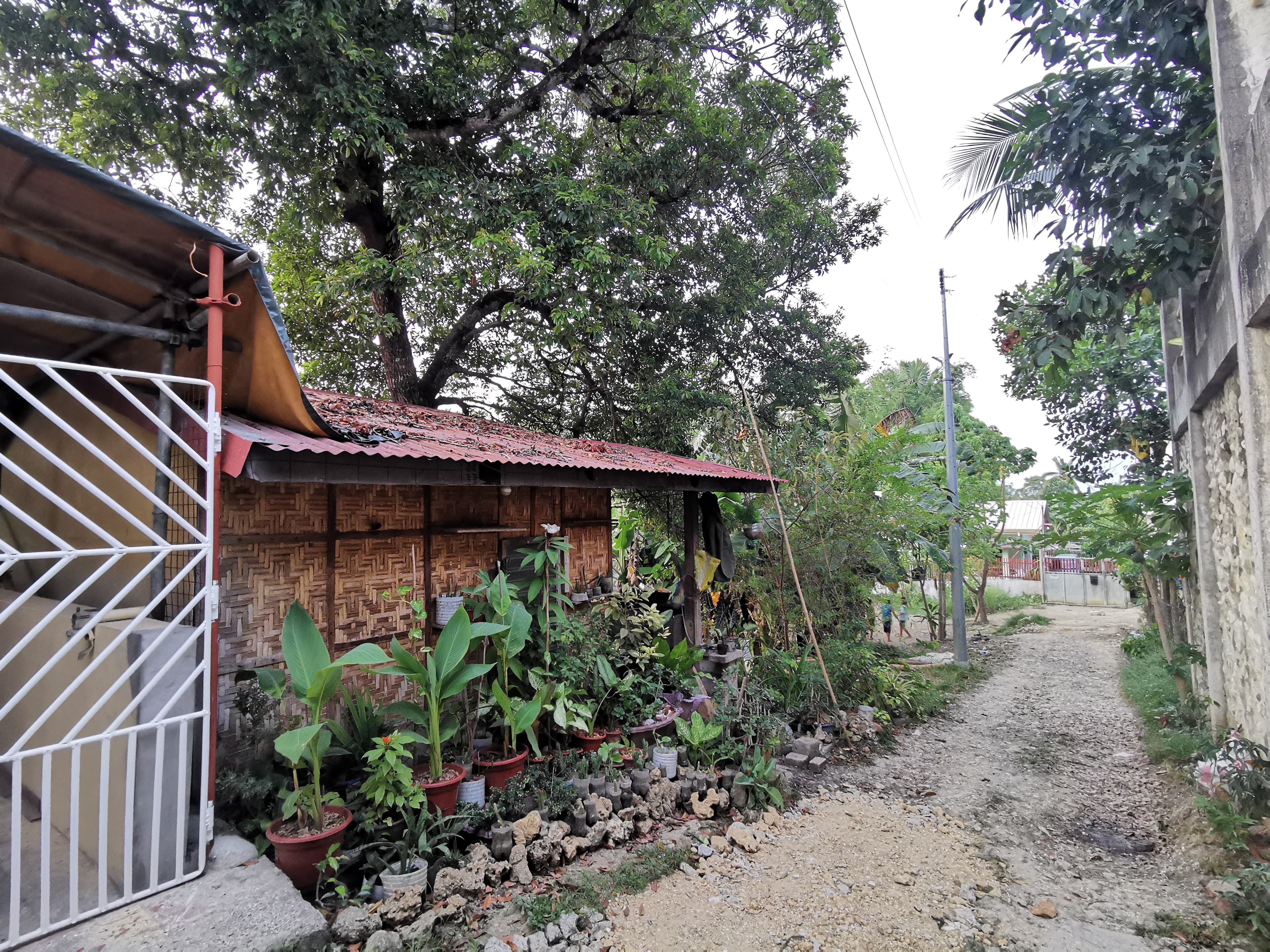 Residential Lot in Poblacion Liloan - photo 2