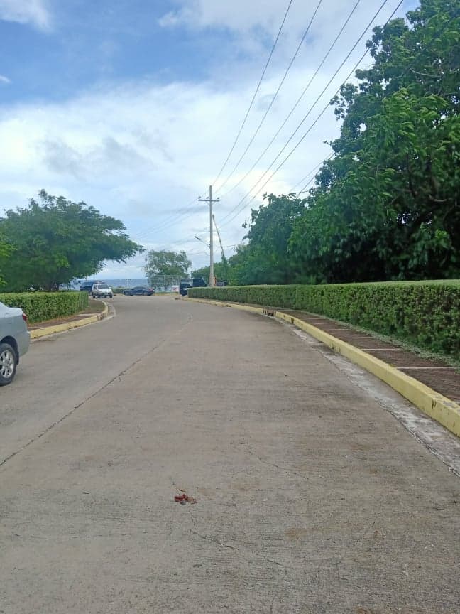 Rush Sale lot only at Discovery Bay Residences/ beach front - photo 5