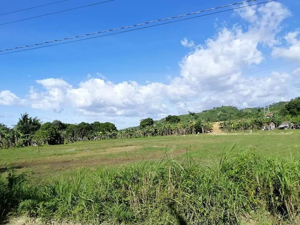 Rush Sale lot in Toledo City - photo 2