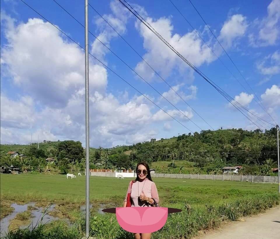 Rush Sale lot in Toledo City