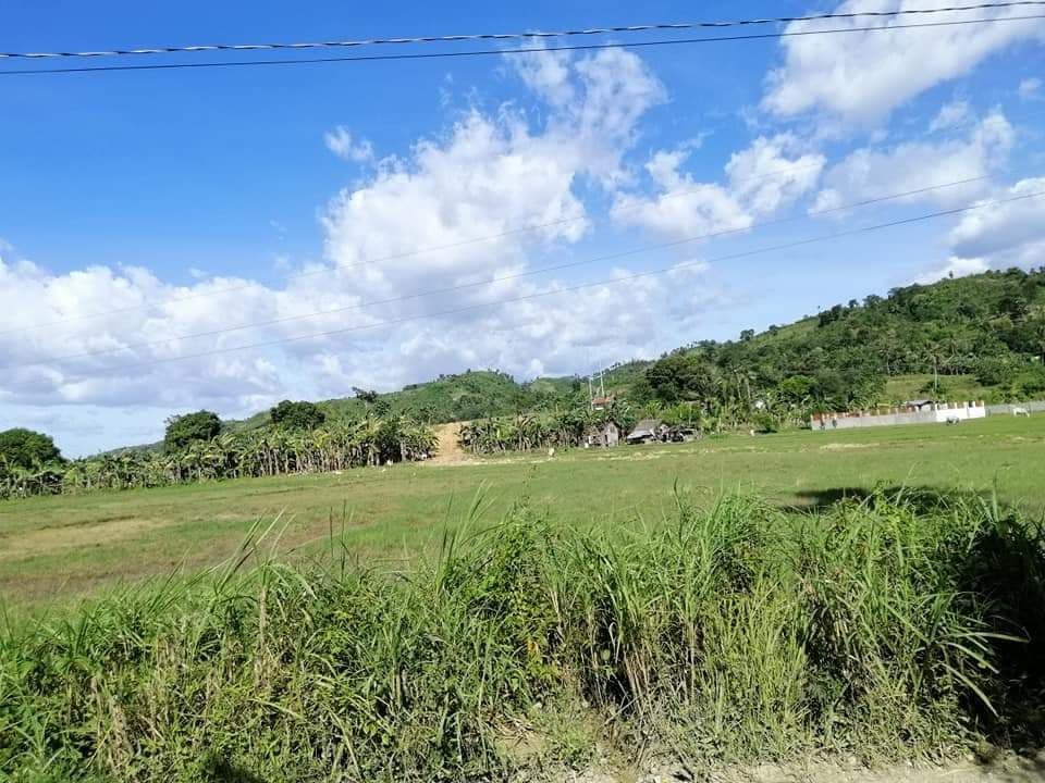 Rush Sale lot in Toledo City - photo 3