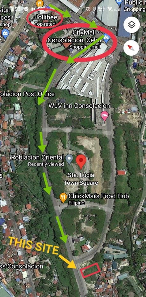 Rush sale Commercial lot in Consolacion Cebu - photo 6