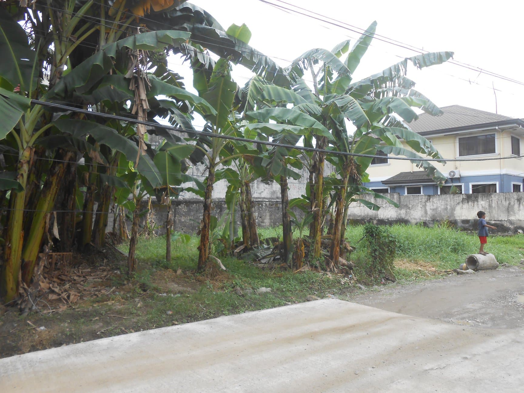 Lot for sale in Hermag Village Mandaue City - photo 2