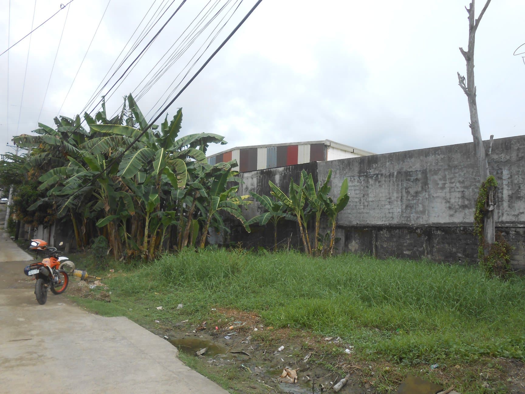 Lot for sale in Hermag Village Mandaue City - photo 1