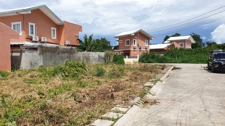 LOT FOR SALE IN CORDOVA!!! - photo 3