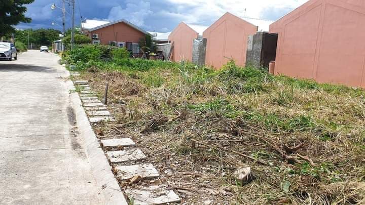 LOT FOR SALE IN CORDOVA!!! - photo 2