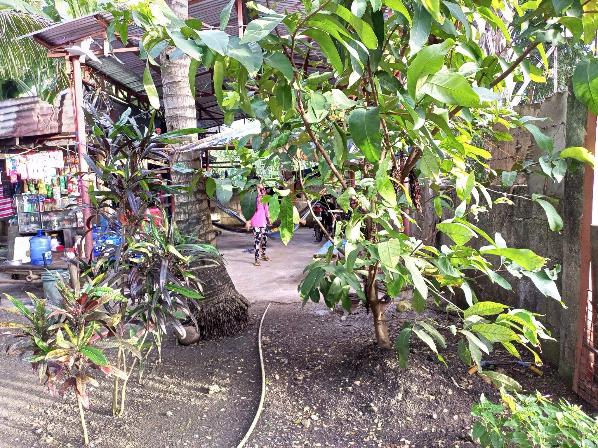 FOR SALE BEACH LOT IN POLAMBATO - photo 5