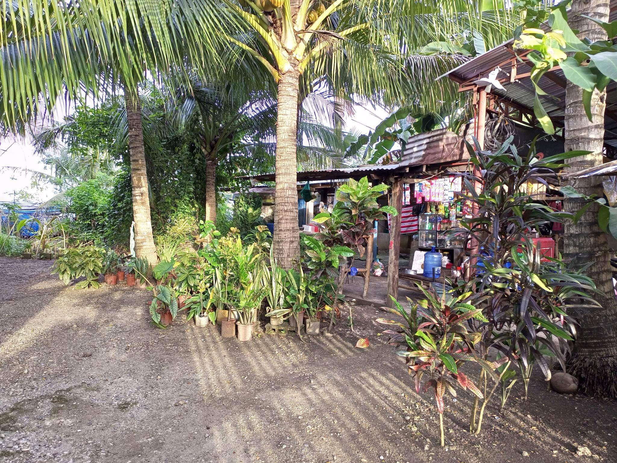 FOR SALE BEACH LOT IN POLAMBATO - photo 7