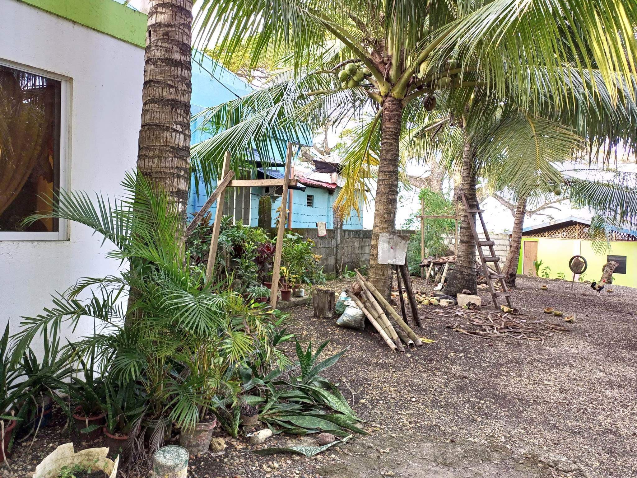 FOR SALE BEACH LOT IN POLAMBATO - photo 6