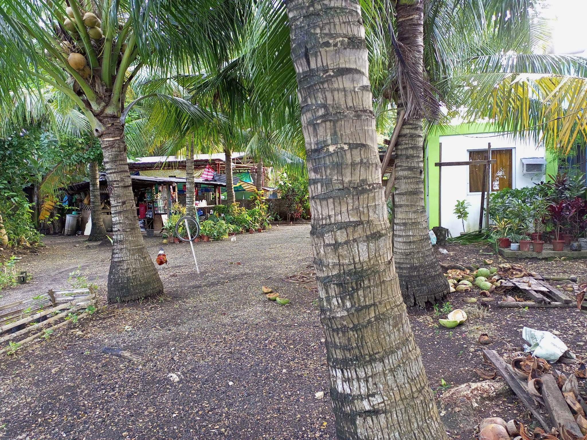 FOR SALE BEACH LOT IN POLAMBATO - photo 4