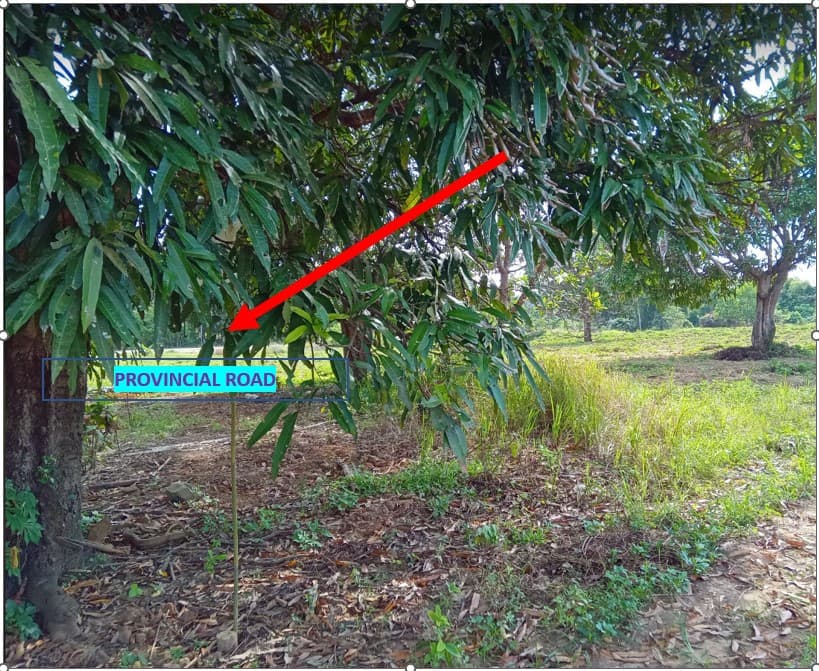 RUSH SALE AFFORDABLE SUBDIVIDED LOTS IN NARRA, PALAWAN NEAR PUERTO PRINCESA CITY - photo 1